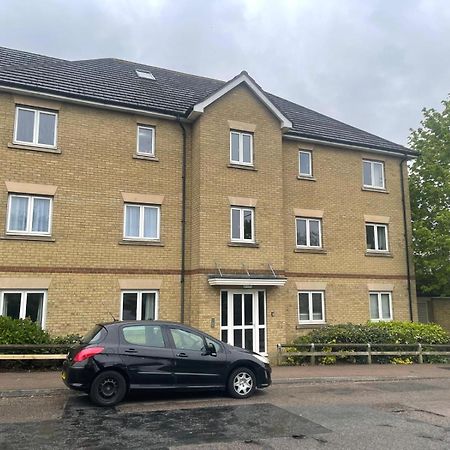 Luxury Rooms And An En-Suite Room With Free Wi-Fi Clarendon Way Colchester Eksteriør billede